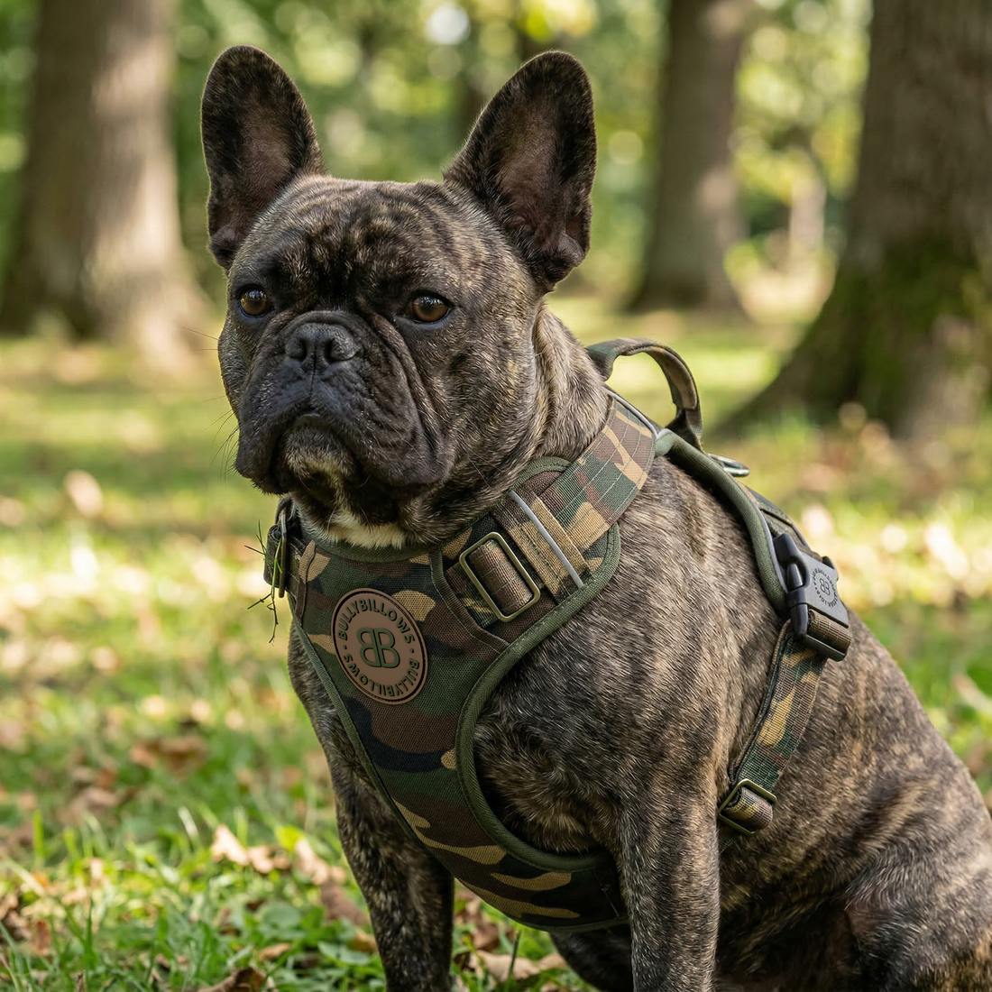 featured image of Comfort Premium Harness | Non Restrictive - Green Camouflage