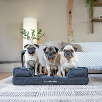 Dogs in a dog bed