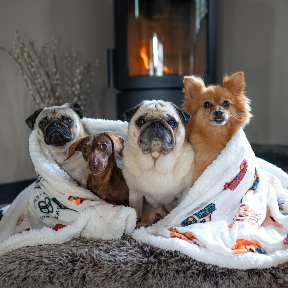 thepuggysmalls