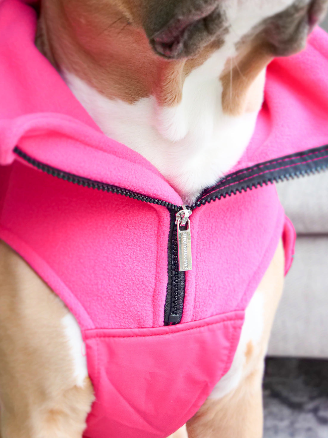 featured image of Dog Coat With Zip - Shower Proof - Carminerose