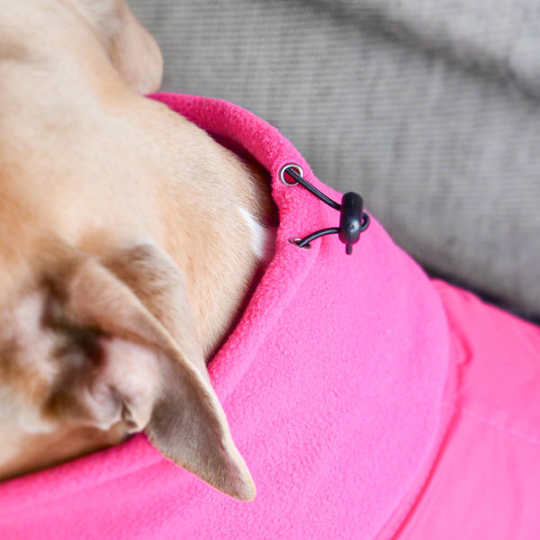 Dog Coat With Zip - Shower Proof - Carminerose