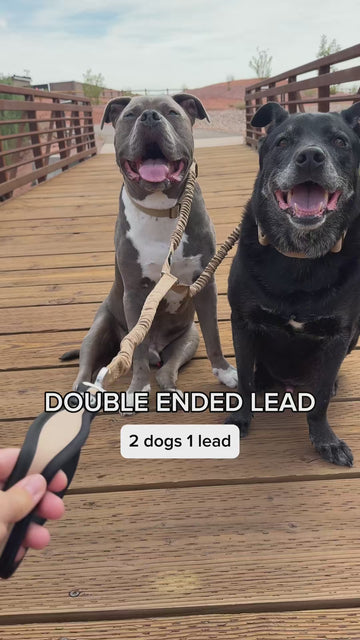Softer Walks For You Both 🐶