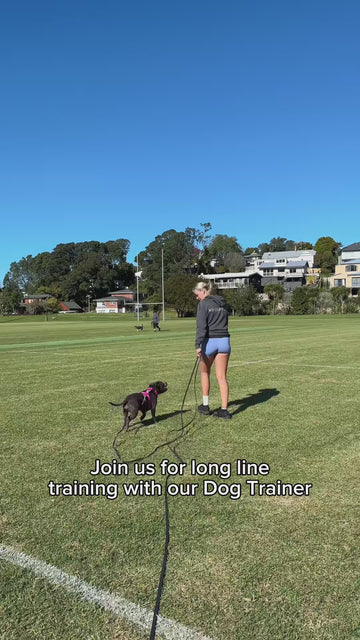 10 Metres Of Controlled Freedom 🐕