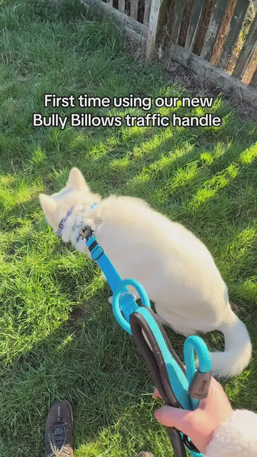 Close Control Made Easy 🐾