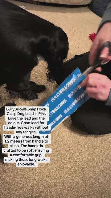 For Dogs Who Love A Detour 😂