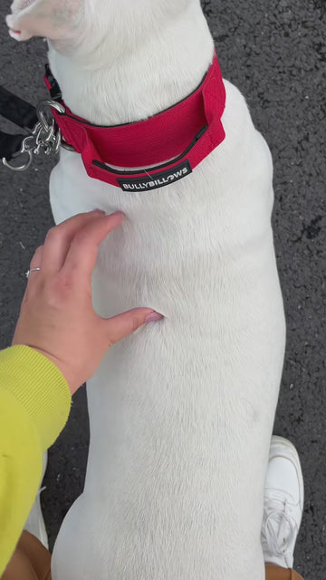 Power Up Their Walk 💥