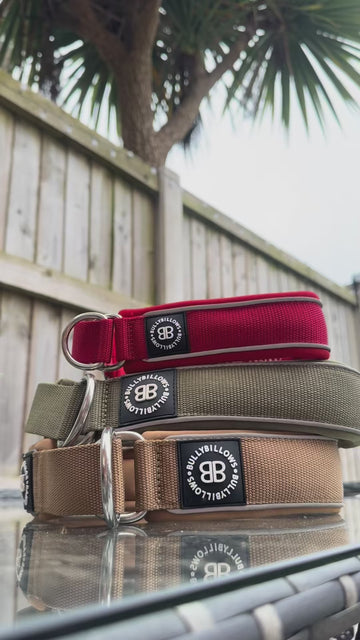 Foam Padded For Comfy Walks 🐶