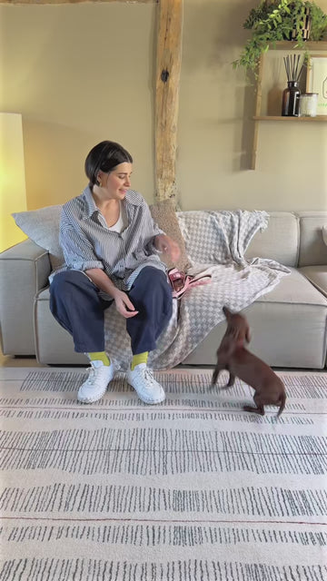 Designed For Smaller Frames 🐶