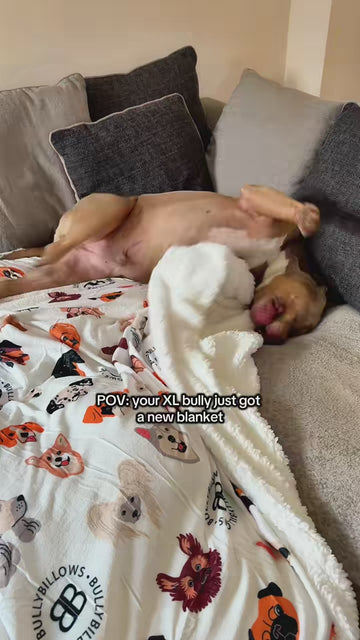 Cosy Mode: Activated 🔥