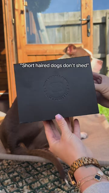 Grooming Made Simple 🐶