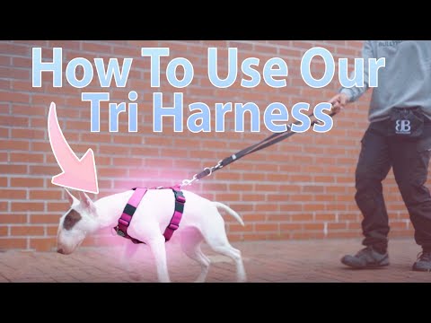 Anti-Pull TRI-Harness® | Training Dog Harness for All Breeds - Metal Grey
