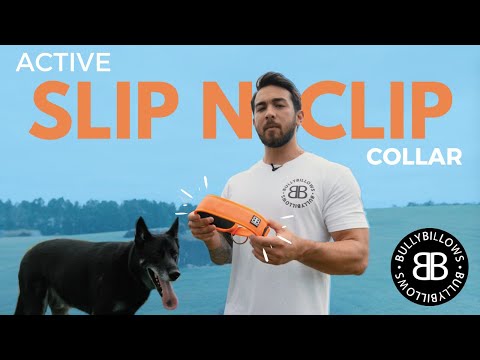 Slip N' Clip Collar | XS-M Breeds - Grey