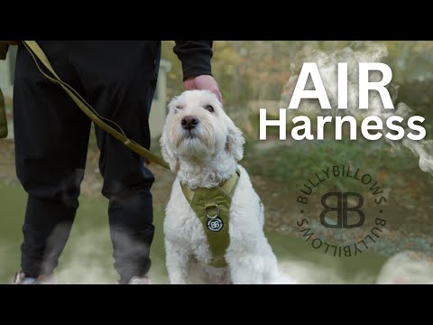Air Harness | Anti-Pull & With Handle - Olive Green