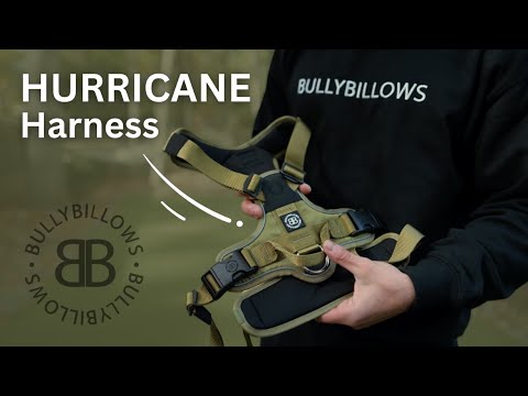 Anti Pull Hurricane Harness Lighter | With Handle - Carminerose