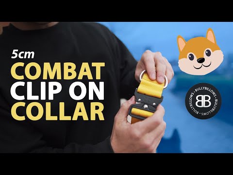 5cm Combat® Collar | With Handle & Secure Clip - Magenta