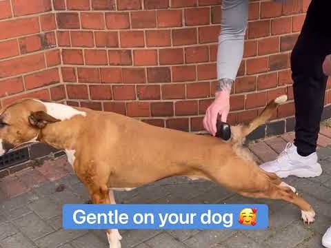 Dog Deshedding Comb - Dog, Horse & Cat - Pink