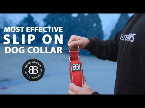 3cm Slip on Collar | Foam Padded - Metal Grey