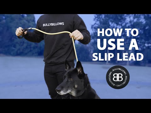 Slip Training Lead | Anti Pull & No Choking -  Khaki