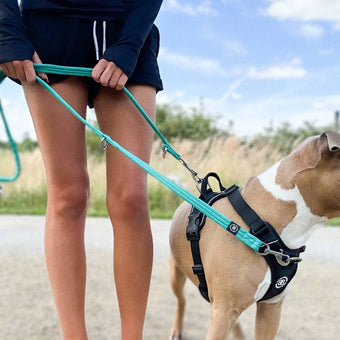 /en-ie/collections/dog-training-leads