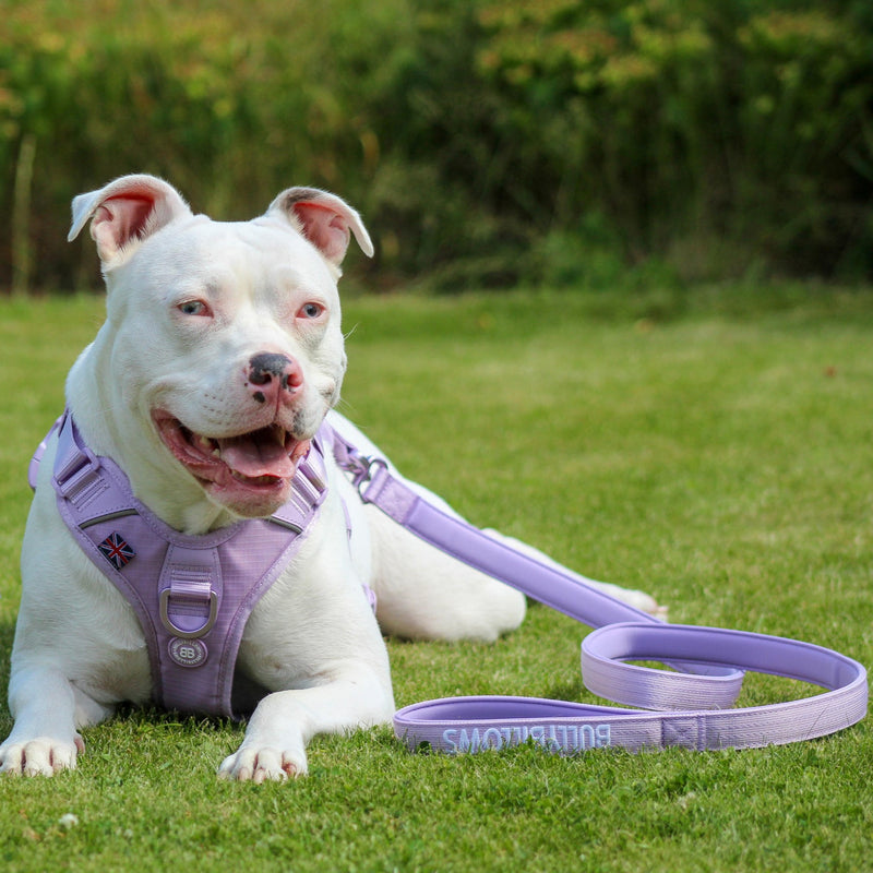 1.4m Lighter Swivel Combat® Leash