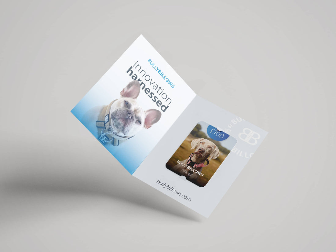 featured image of E-Gift Cards