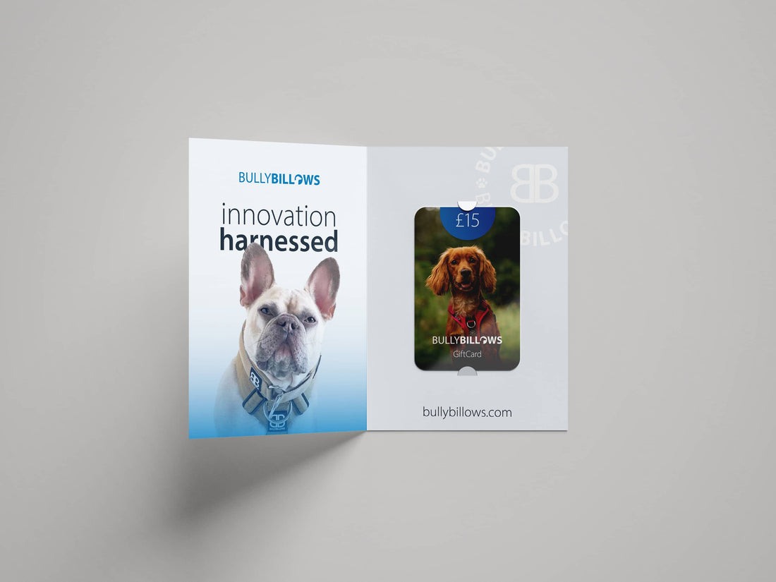 featured image of E-Gift Cards