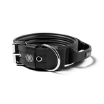 5cm Pin Buckle Collar | With Handle & Robust Hardware - Black