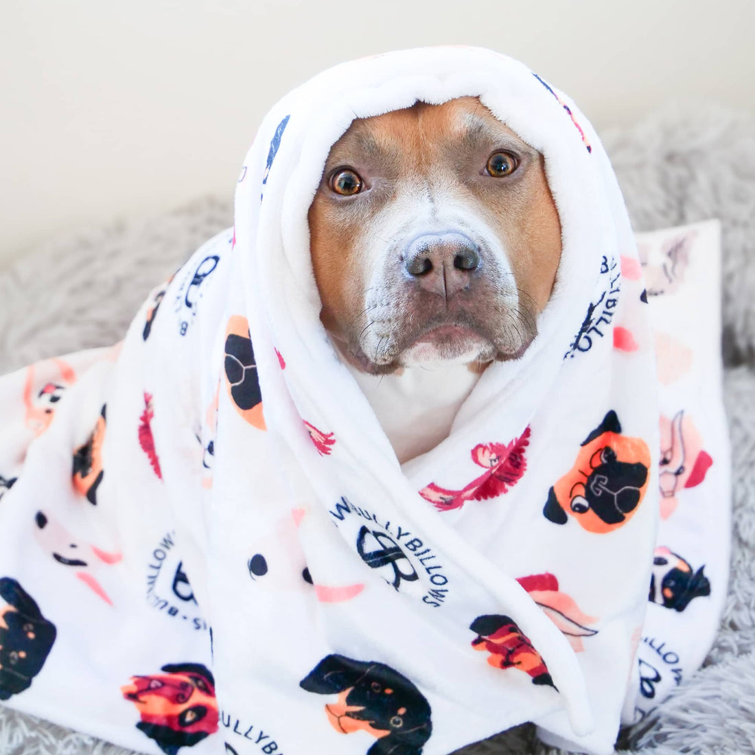 featured image of White Edition | Luxury Dog & Human Blanket