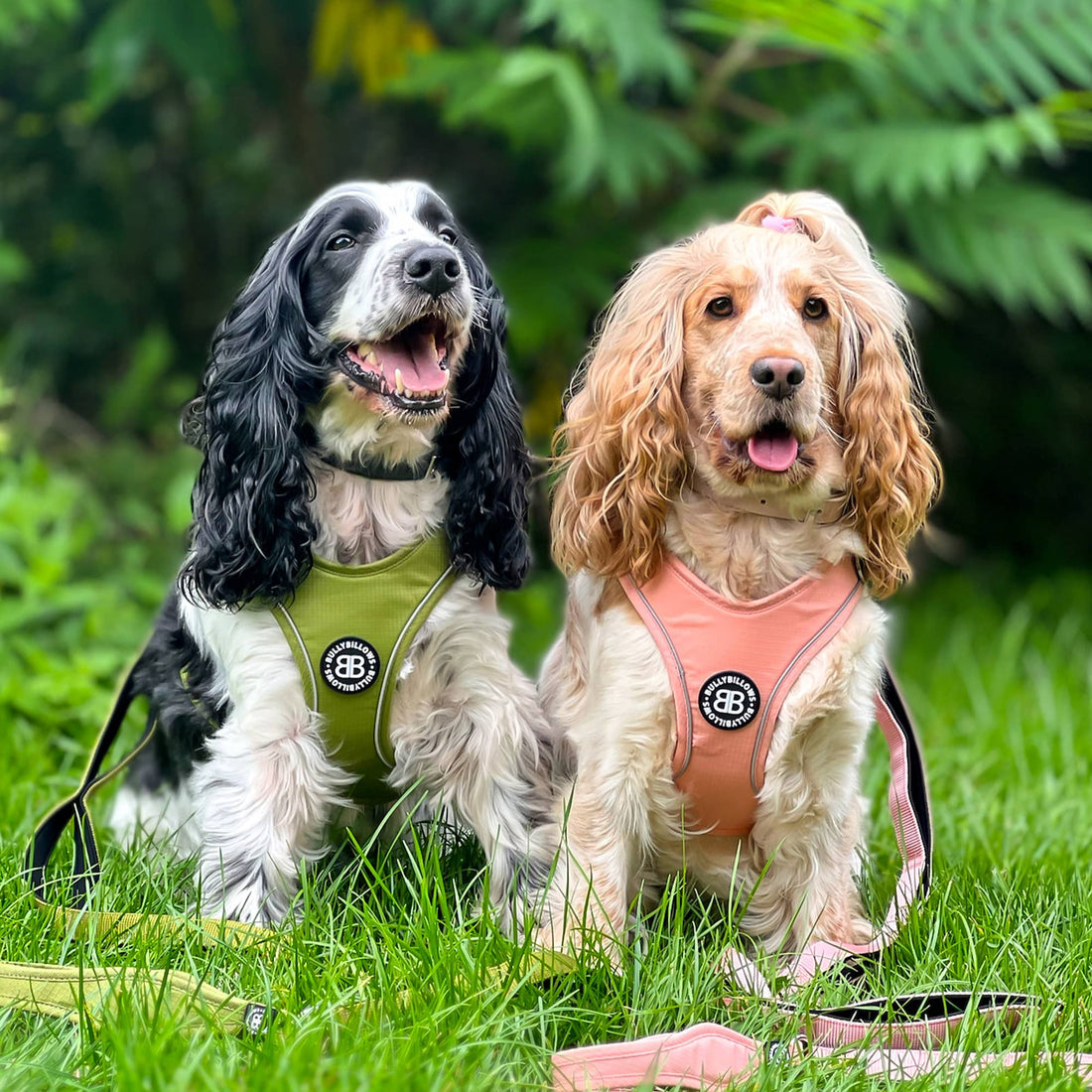 featured image of Step in Harness | XS-M Breeds - Purple